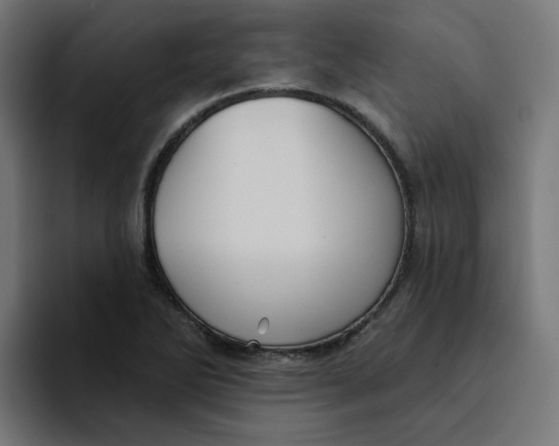 X0000094171270200711161700