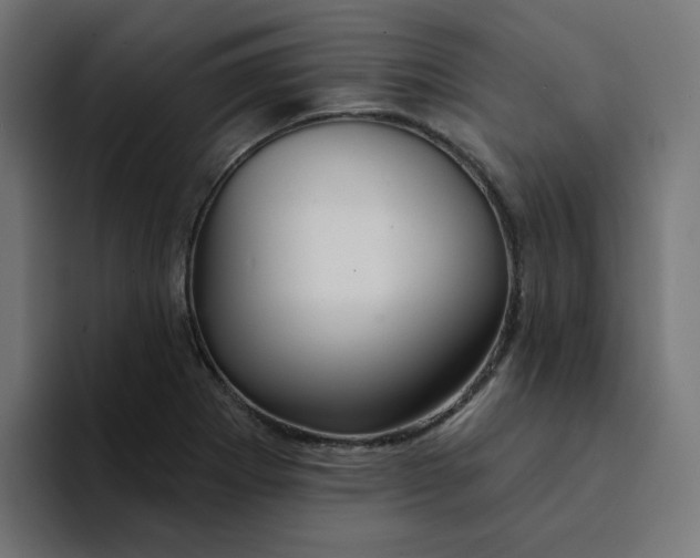 X0000094171273200711161700