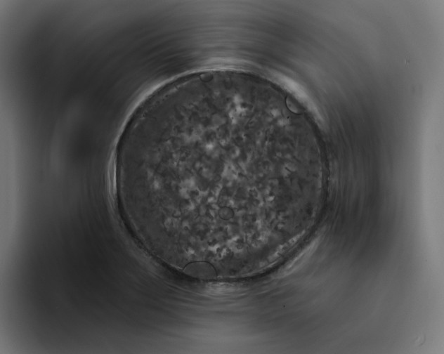 X0000094171275200711161700