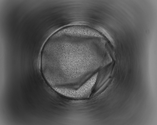 X0000094171276200711161700