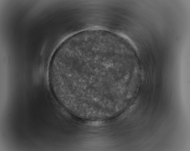 X0000094171278200711161700