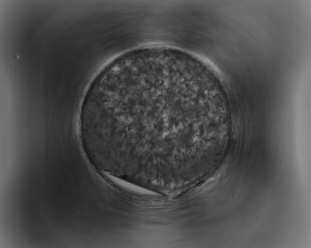 X0000094171279200711161700