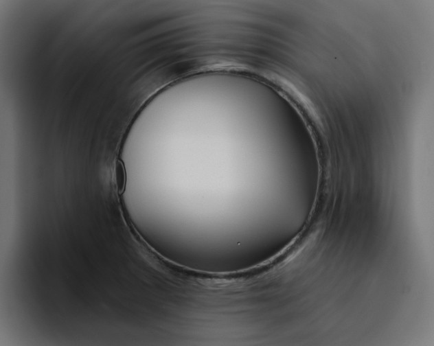 X0000094171281200711161700