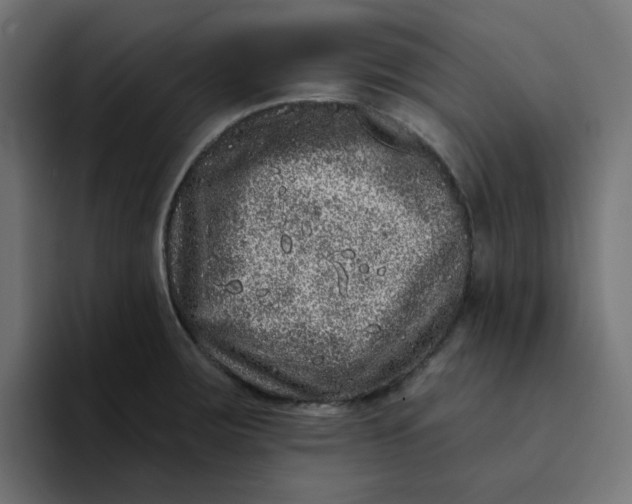 X0000094171283200711161700