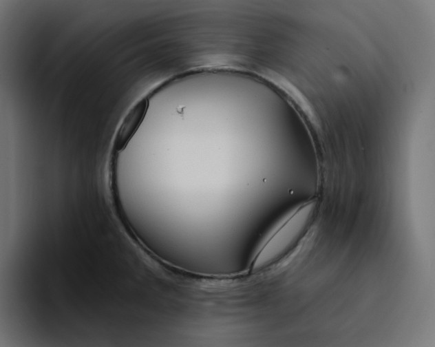 X0000094171285200711161700