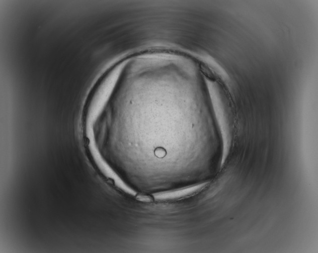 X0000094171287200711161700