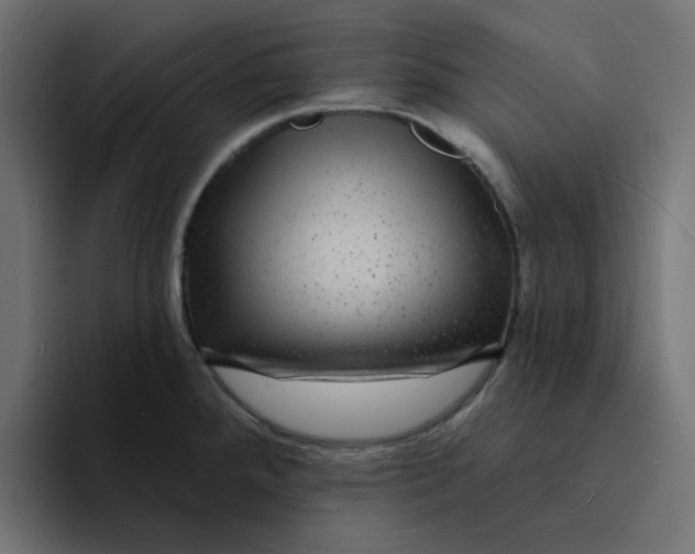 X0000094171288200711161700