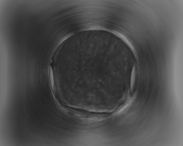 X0000094171289200711161700