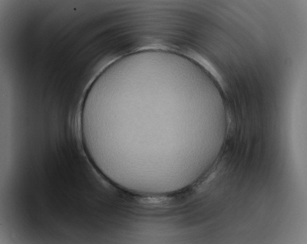 X0000094171290200711161700