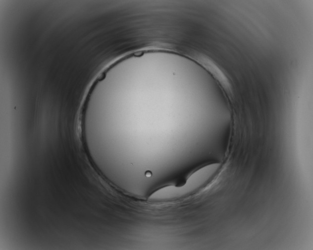 X0000094171292200711161700