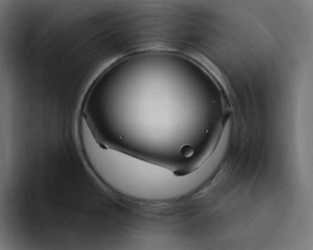 X0000094171293200711161700