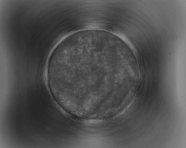 X0000094171294200711161700