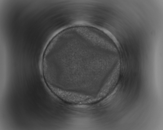 X0000094171295200711161700