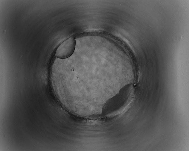 X0000094171306200711161700