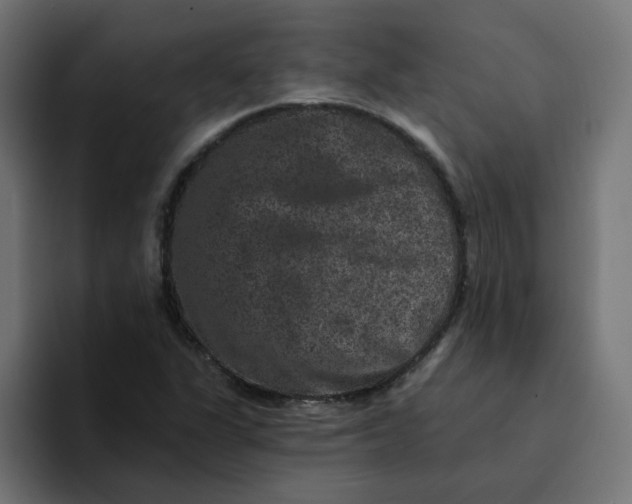 X0000094171311200711161700