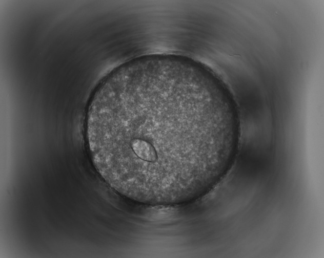 X0000094171314200711161700