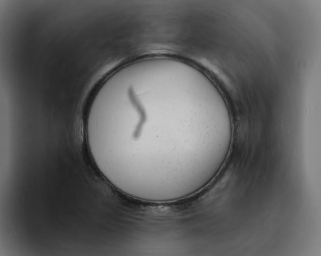 X0000094171317200711161700