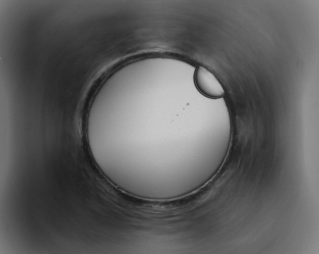 X0000094171318200711161700