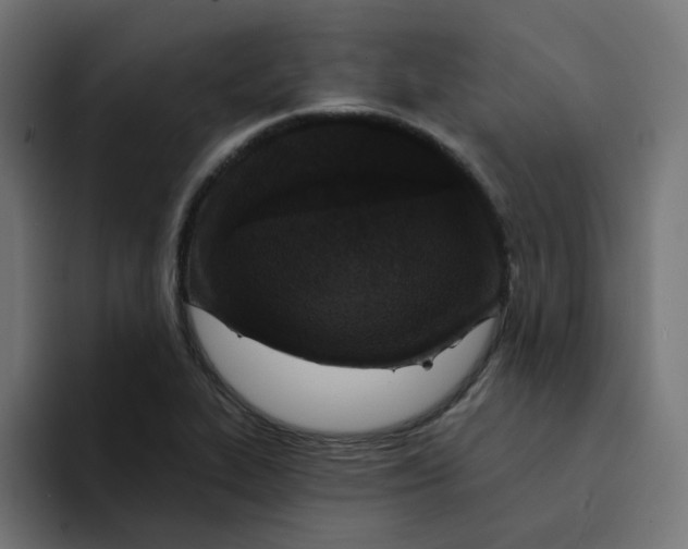 X0000094171319200711161700