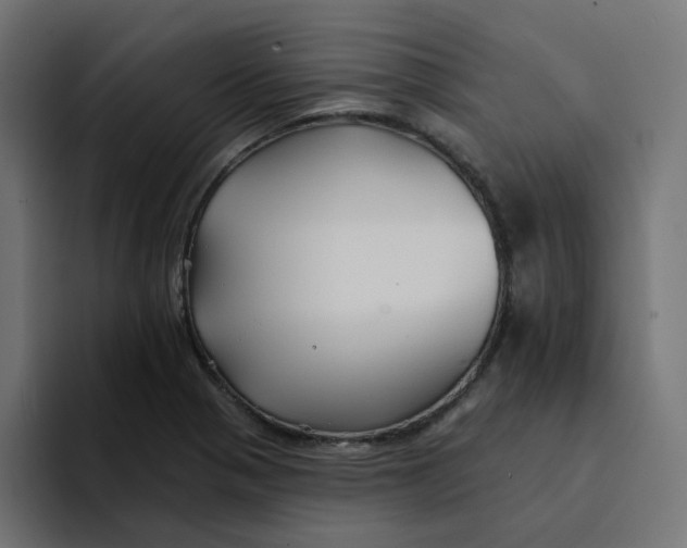 X0000094171321200711161700