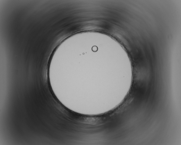 X0000094171322200711161700