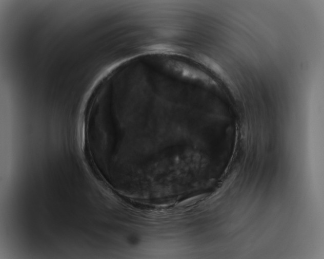 X0000094171323200711161700