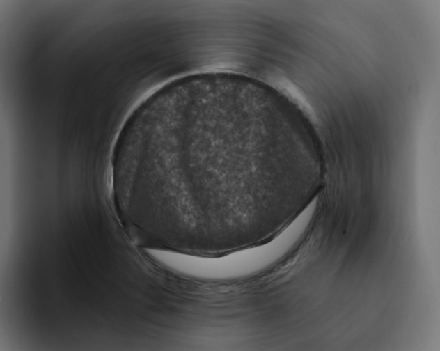 X0000094171324200711161700