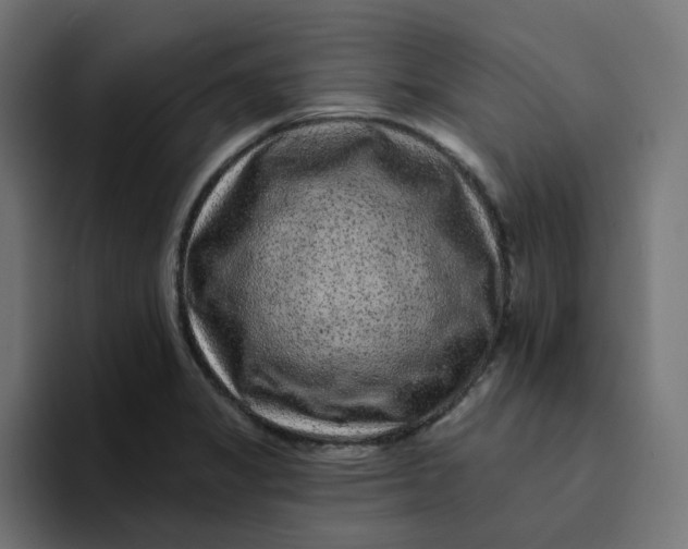 X0000094171325200711161700