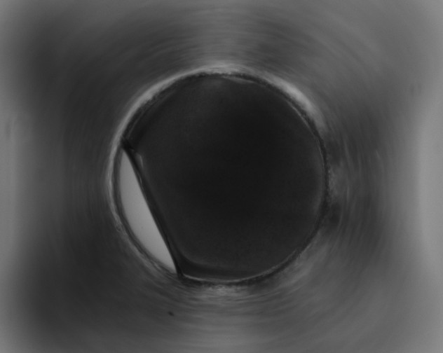 X0000094171327200711161700