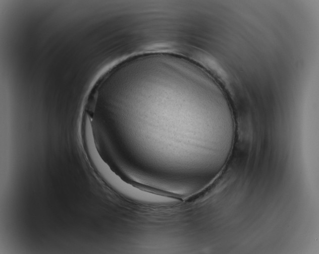 X0000094171328200711161700