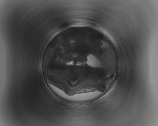 X0000094171329200711161700