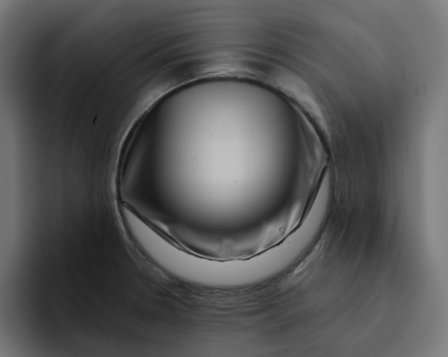 X0000094171330200711161700