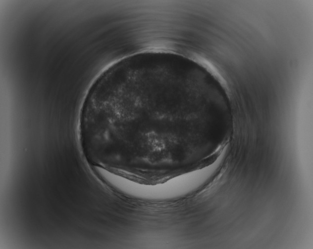 X0000094171331200711161700