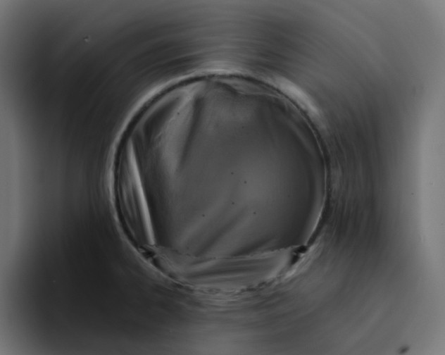 X0000094171334200711161700