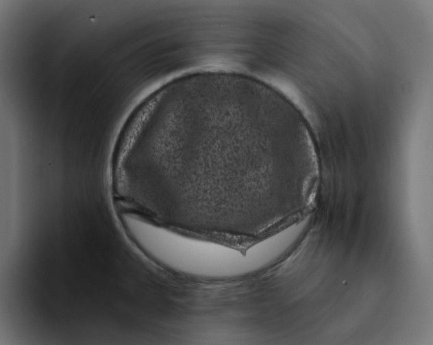 X0000094171335200711161700