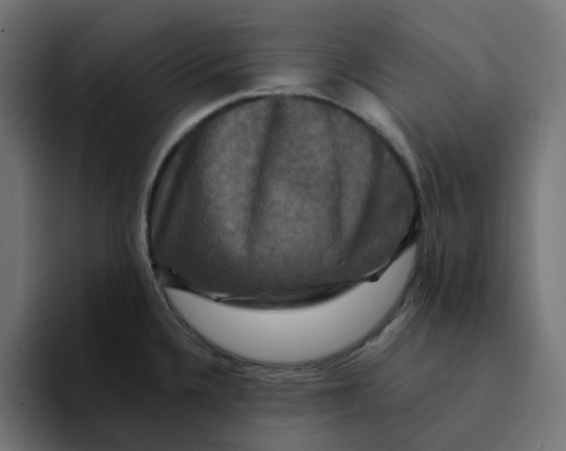 X0000094171336200711161700