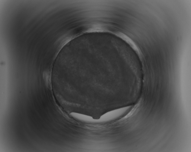 X0000094171337200711161700