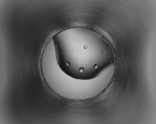 X0000094171338200711161700