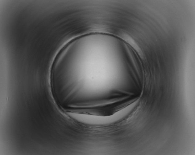 X0000094171339200711161700