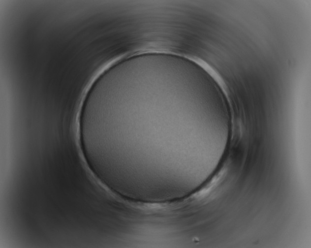 X0000094171341200711161700