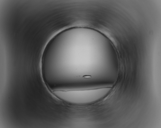 X0000094171343200711161700