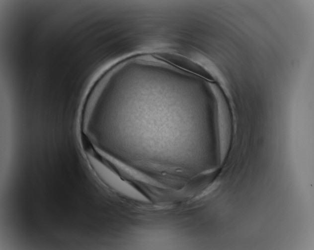 X0000094171344200711161700