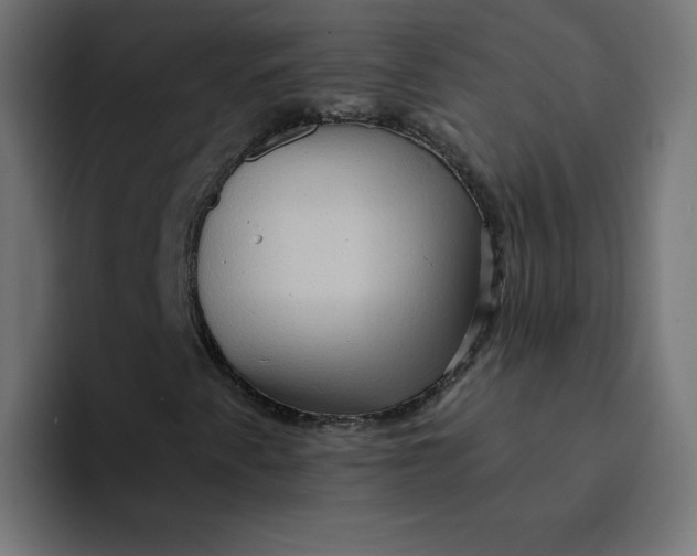 X0000094171345200711161659