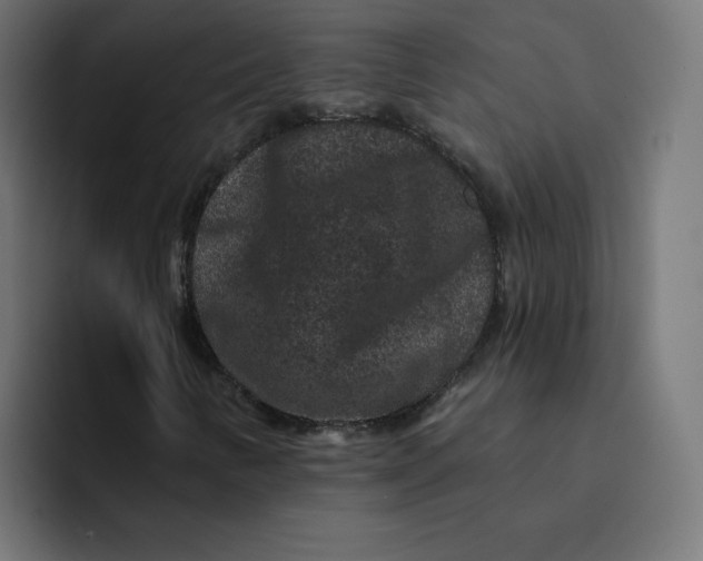 X0000094171346200711161659