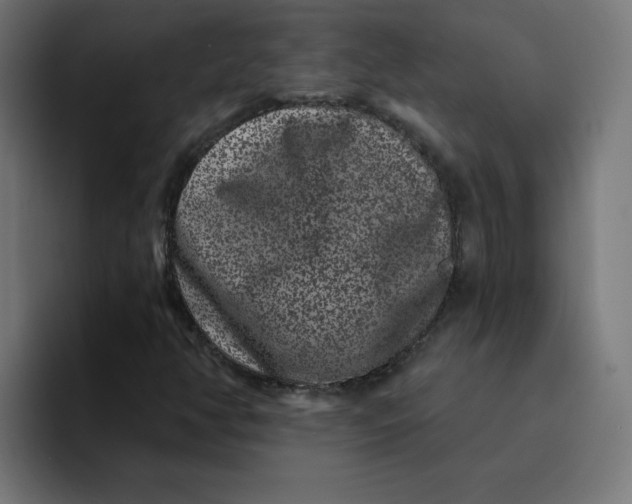 X0000094171350200711161659