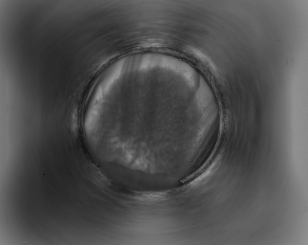 X0000094171353200711161659