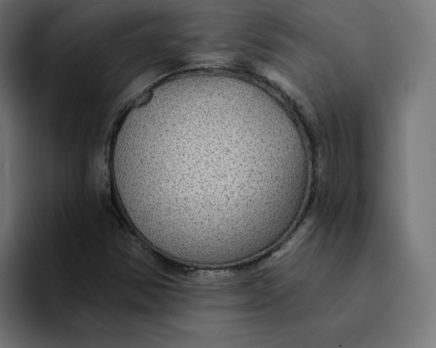 X0000094171354200711161659