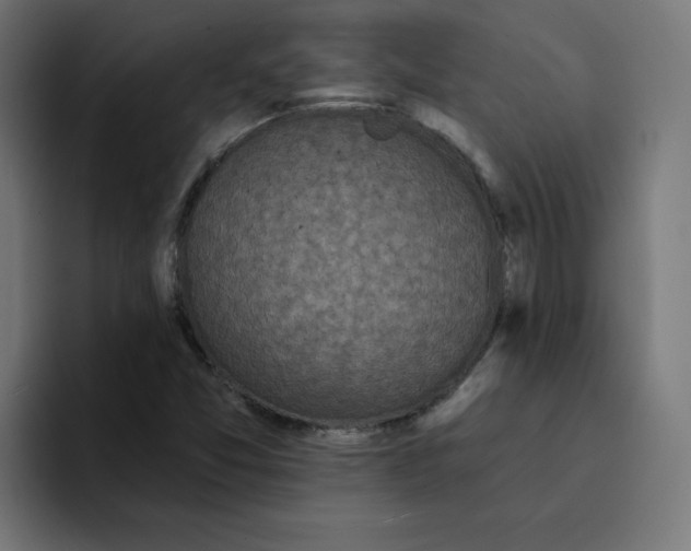 X0000094171357200711161659