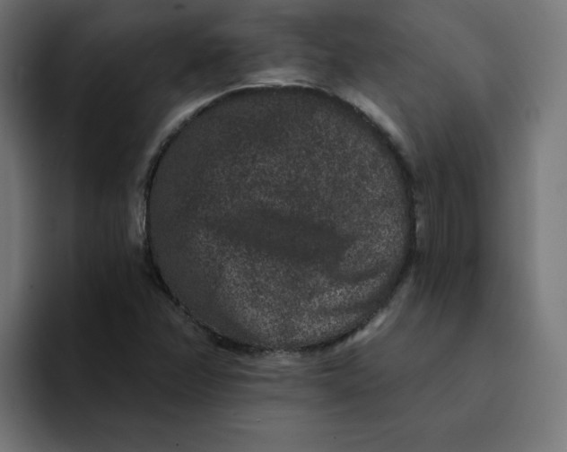 X0000094171358200711161659