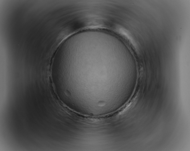 X0000094171361200711161659